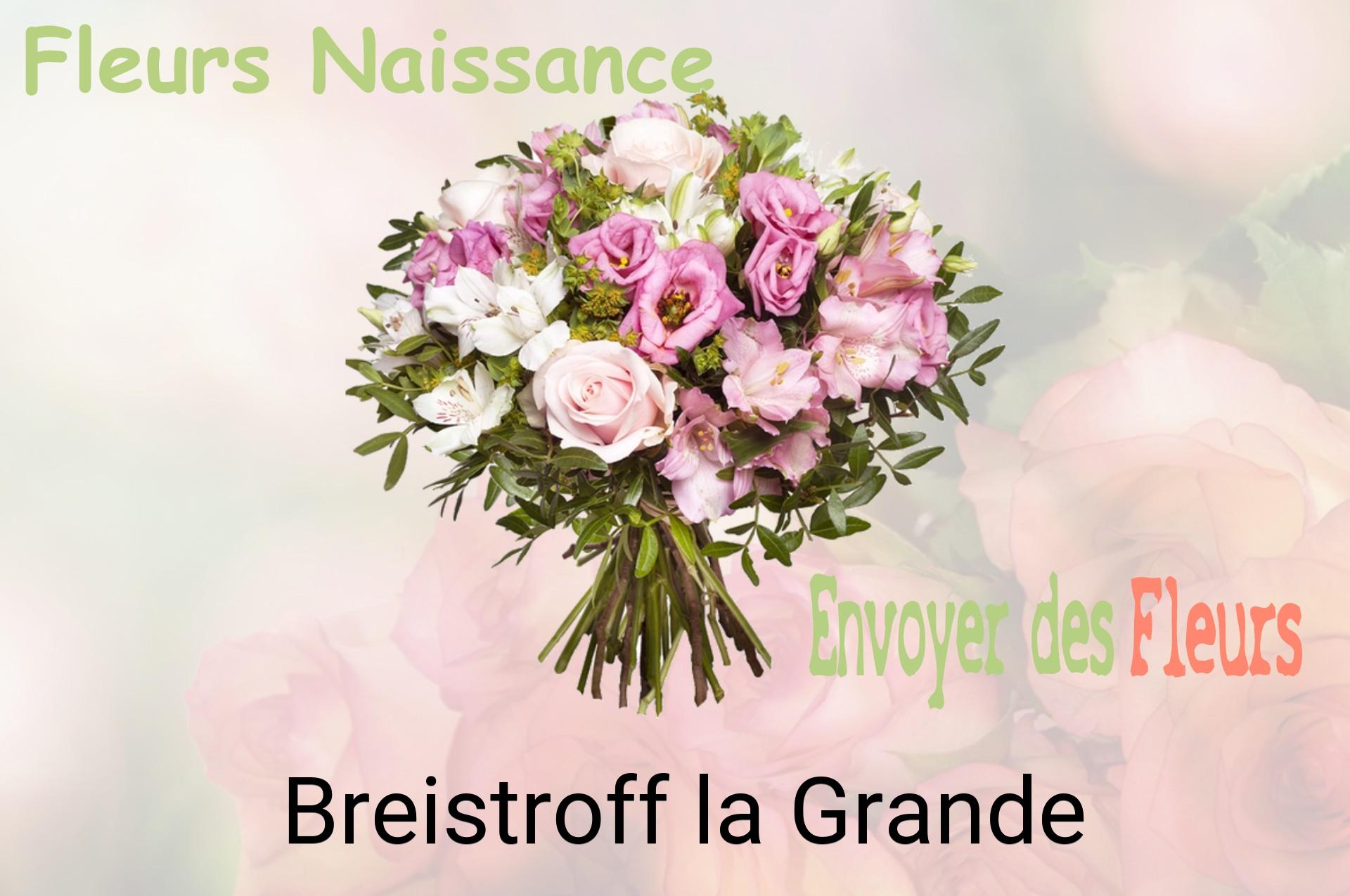 Bouquet de fleurs de naissance livré à Breistroff-la-Grande
